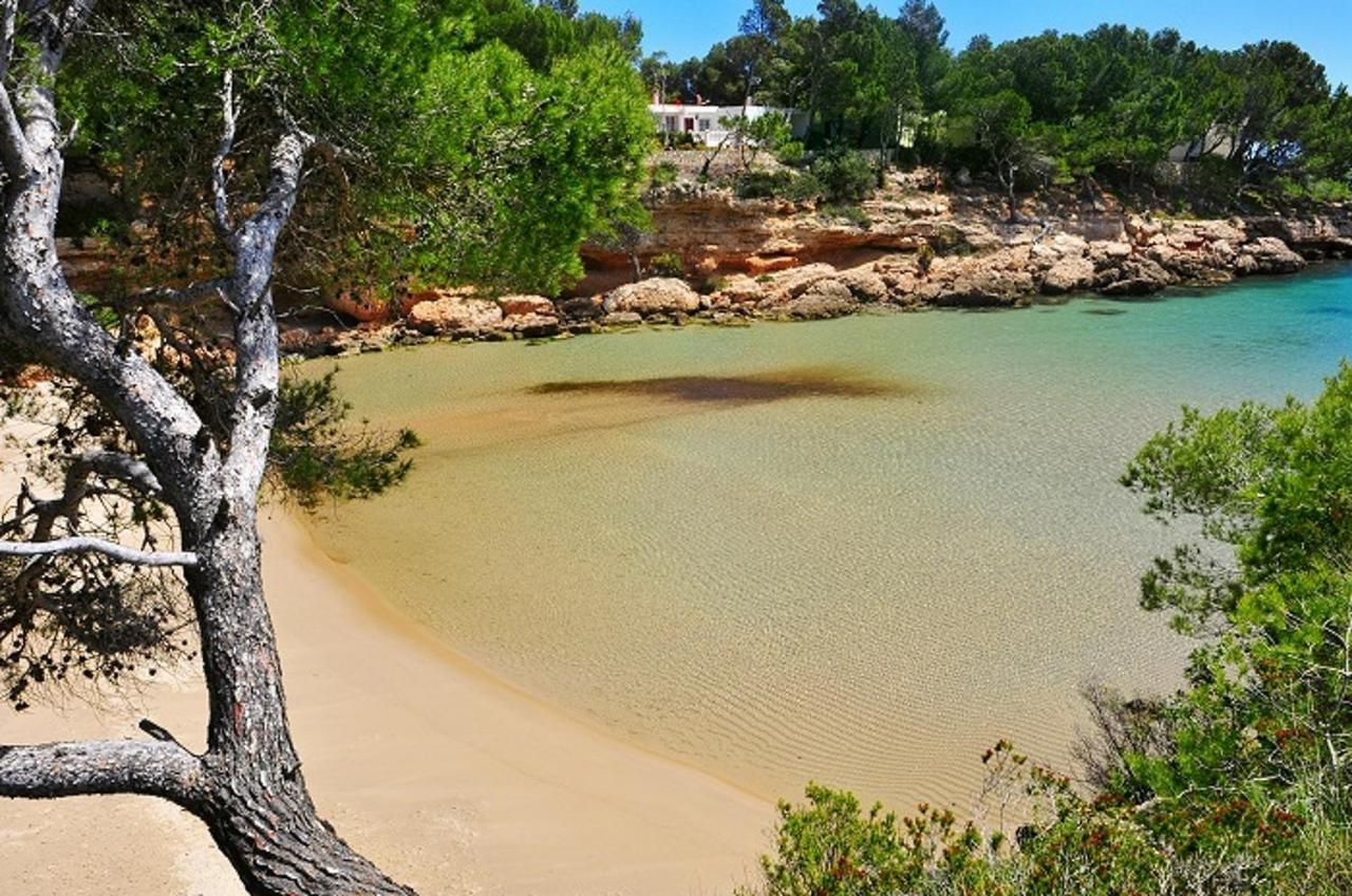 Villa Dorada L'Ametlla de Mar Eksteriør billede